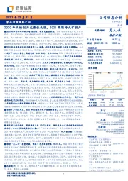 2020年业绩创历史最佳表现，2021年期待大矿投产