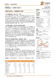 甘青水泥龙头，价格弹性仍可期