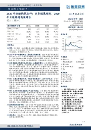 2020年业绩快报点评:业务进展顺利,2020年业绩维持高速增长
