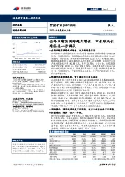 2020年年度报告点评:全年业绩实现跨越式增长,中长期成长路径进一步确认