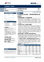 2020年年报点评：多品类发力共成长，看好盈利弹性和成长空间