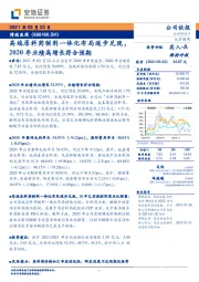 高端原料药制剂一体化布局逐步兑现，2020年业绩高增长符合预期