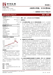 年报点评：业绩符合预期，补齐消费短板