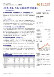 2020年报业绩点评：业绩符合预期，大客户持续突破保障业绩高增长