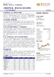 2020年年报业绩点评：业绩逐季改善，微电机龙头重回高增长