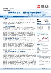 2020年报点评:业绩表现平稳,新市场保持高速增长