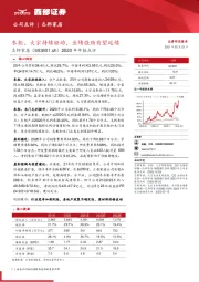 2020年年报点评：衣柜、大宗持续驱动，业绩强劲有望延续