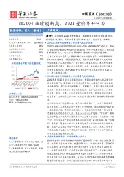 2020Q4业绩创新高，2021量价齐升可期