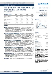 2020年年报点评：项目利润迎来释放，Q4业绩延续高增长，全年业绩回暖