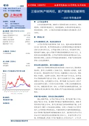 2020年年报点评：正极材料产销两旺，新产能落地贡献弹性