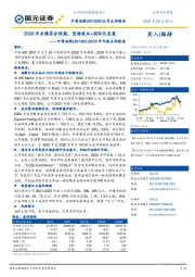 2020年年报点评报告：2020年业绩符合预期，坚持技术+国际化发展