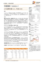 20年业绩同比增长191%，风光投入加大