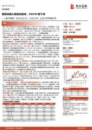 2020年年报点评：银保渠道大幅推高新单，NBVM略下滑