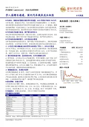 步入高增长通道，国内汽车线束龙头初显