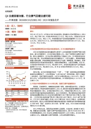 2020年报告点评：Q4业绩显著改善，行业景气回暖业绩可期