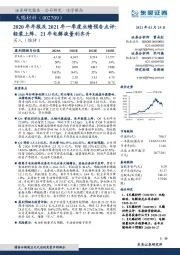 2020年年报及2021年一季度业绩预告点评：轻装上阵，21年电解液量利齐升