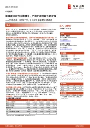 2020年年度业绩点评：渠道建设助力业绩增长，产能扩建贡献长期发展