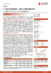 2020年年度报告点评：21年高毛利率有望维持，持续扩产保障业绩稳步提升