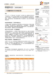 一文看懂绿盟科技的渠道战略