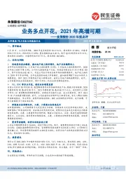 良信股份2020年报点评：业务多点开花，2021年高增可期