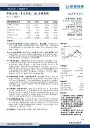 年报点评：多点开花，Q1业绩亮眼