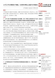 事件点评：公司20年业绩略低于预期，未来增长弹性主要看汽车智能化