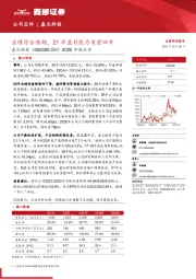 2020年报点评：业绩符合预期，21年盈利能力有望回升