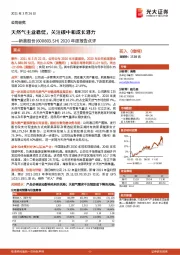 2020年度报告点评:天然气主业稳健,关注碳中和成长潜力