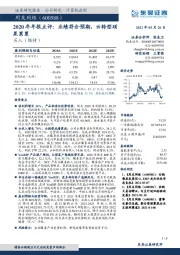2020年年报点评:业绩符合预期,云转型硕果累累