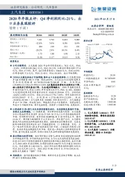 2020年年报点评：Q4净利润同比-21%，出口业务表现较好