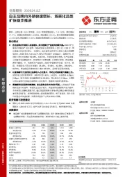 自主品牌内外销快速增长，场景化品类扩张稳步推进