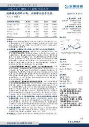 2020年报点评：战略规划指明方向，业绩增长逐步兑现