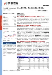 公司年报点评报告：Q4业绩超预期，降本增效显著提升盈利能力