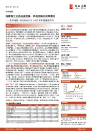 2020年年度报告点评:海缆海工业务迅速发展,风电抢装毛利率提升