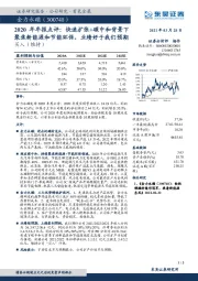 2020年年报点评：快速扩张+碳中和背景下聚焦新能源和节能环保，业绩好于我们预期