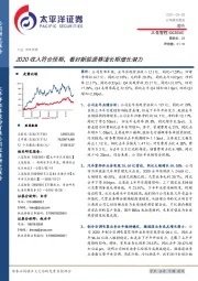 2020收入符合预期,看好新能源赛道长期增长潜力