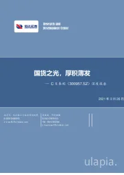 深度报告：国货之光，厚积薄发