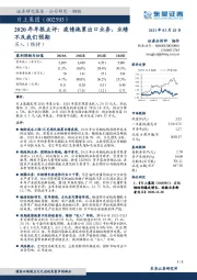 2020年年报点评：疫情拖累出口业务，业绩不及我们预期