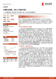 2020年年报点评：业绩符合预期，油价上行盈利可期