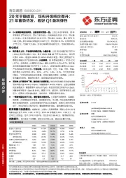 20年平稳收官，结构升级吨价提升；21年蓄势待发，看好Q1盈利弹性