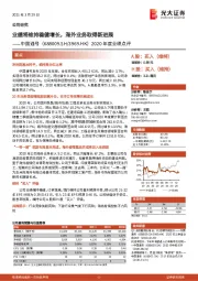 2020年度业绩点评:业绩将维持稳健增长,海外业务取得新进展