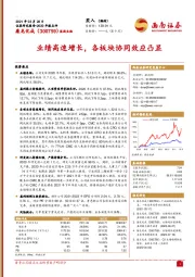 业绩高速增长，各板块协同效应凸显