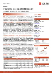 2020年年度报告点评:产能扩张持续,成本+制造优势保障盈利能力维持