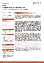 2020年年报点评:降本增效持续推进,减油增化长期盈利可期
