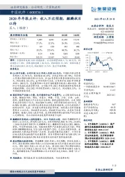 2020年年报点评:收入不达预期,麒麟拭目以待