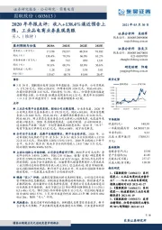 2020年年报点评：收入+138.4%逼近预告上限，工业品电商业务表现亮眼