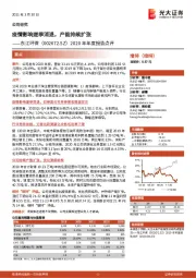 2020年年度报告点评:疫情影响逐季消退,产能持续扩张