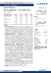 2020年年报点评：2020年业绩创新高，多点开花接力成长