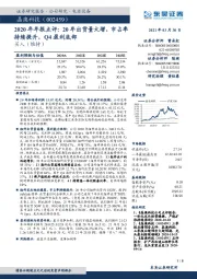 2020年年报点评：20年出货量大增，市占率持续提升，Q4盈利底部