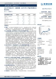 2020年年报点评：业绩亮眼，在手订单+产能扩张奠定未来高成长